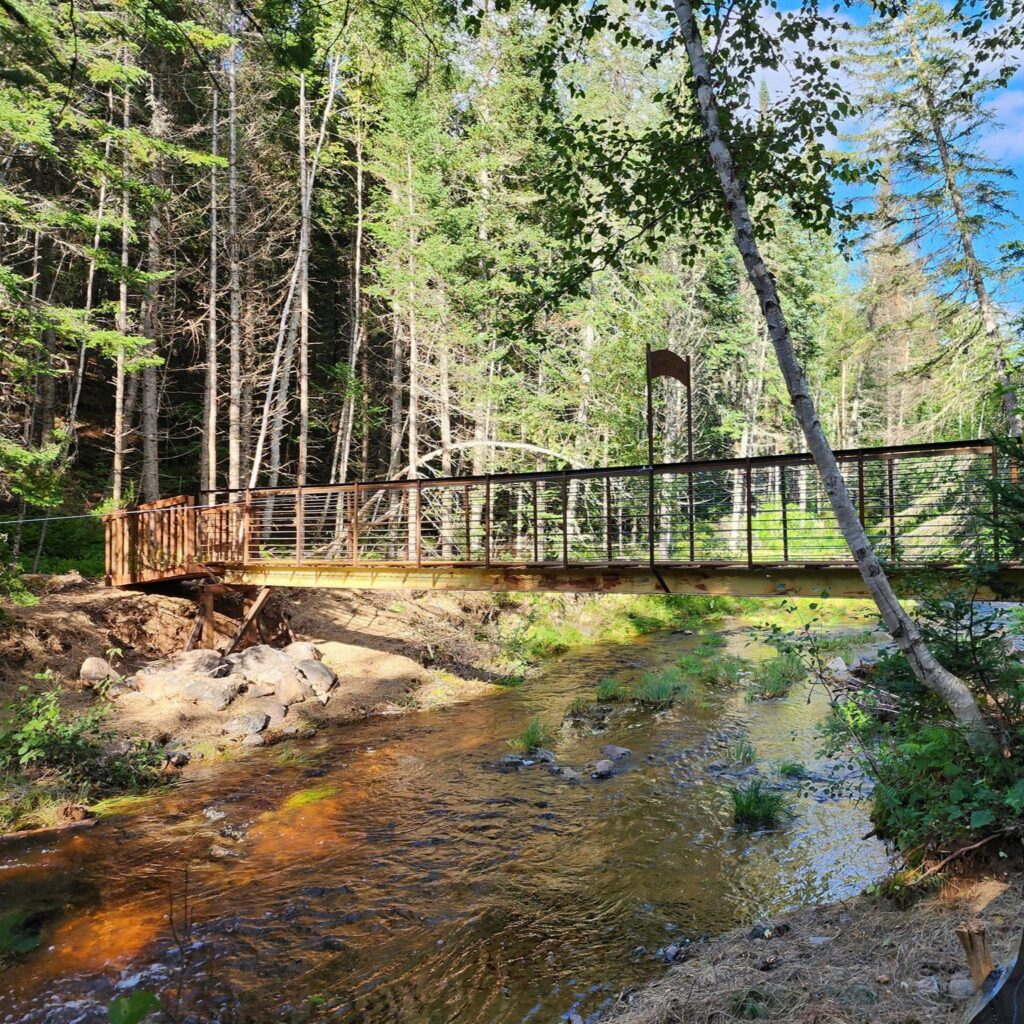 Pedestrian Bridge