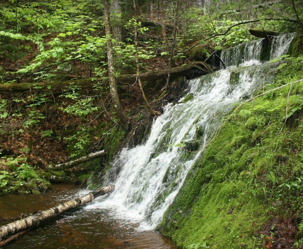 Carrow Falls