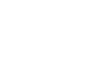 Ducks Unlimited Logo