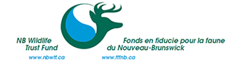 NB Wildlife Trust Fund Logo