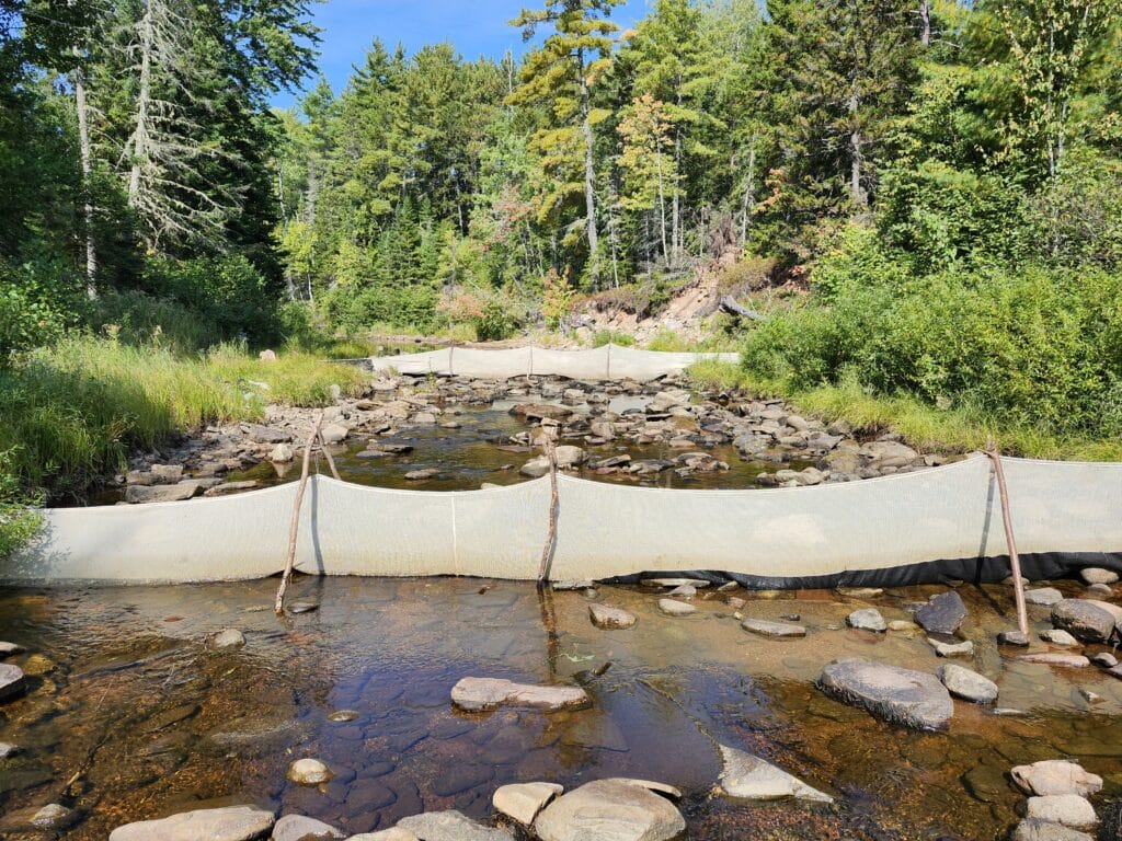 Atlantic Salmon Population Monitoring