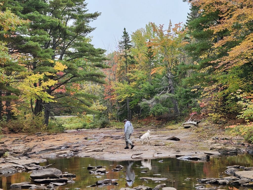 Exploring the Range of Atlantic Salmon and examination of thermal refugia