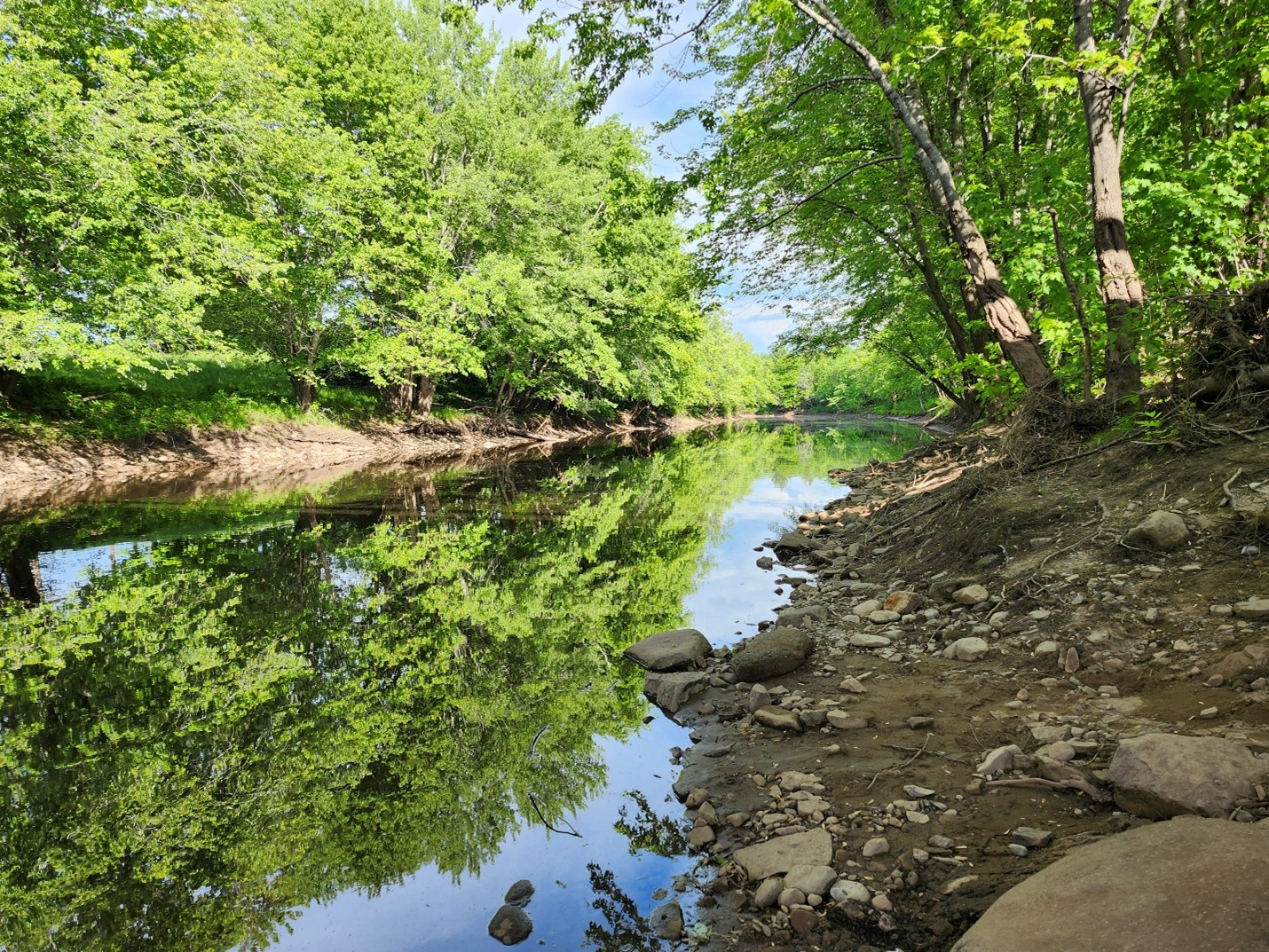 Rusagonis Stream at Moore Bridge