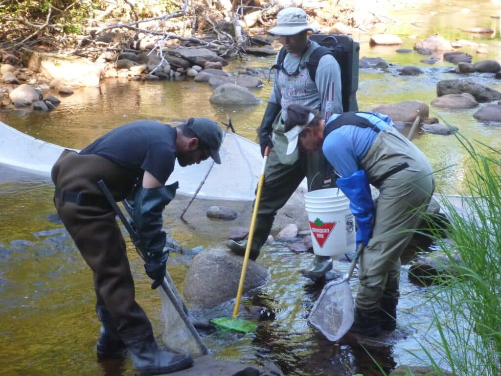 Electrofishing